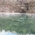 Roaring River State Park