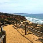Torrey Pines State Reserve