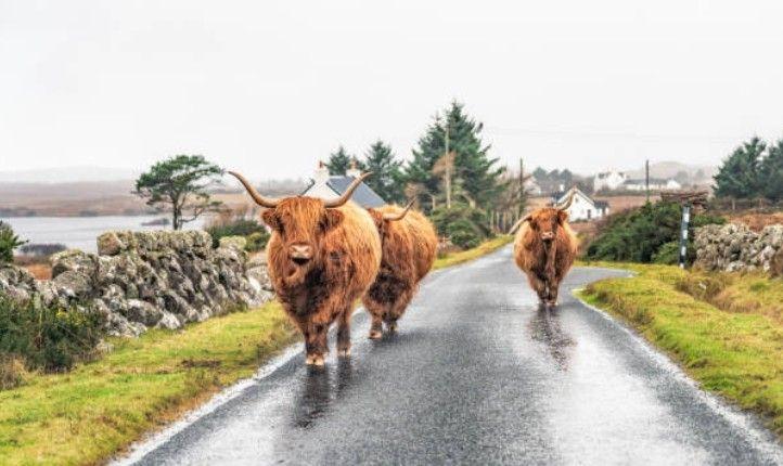 bca4e325-08ce-4ac7-af67-c84609396b3f