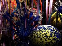 For Art Aficionados: Chihuly Collection