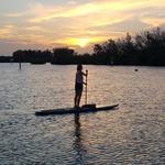 Paddles By The Sea