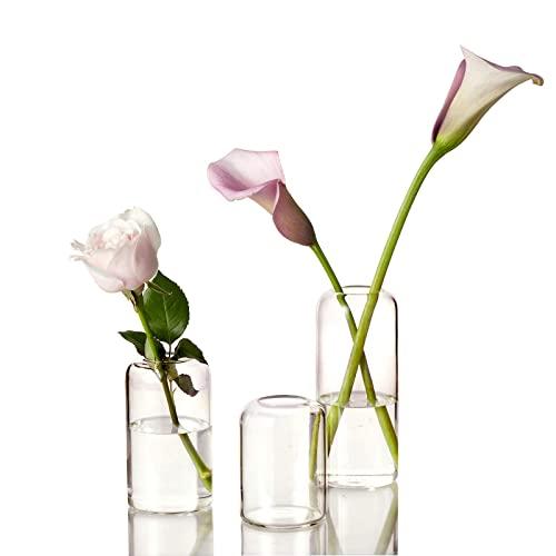 ZENS Bud Vases Glass Set, Clear Small Serene Spaces Living Vase Set of 3 for Centerpieces Home Decor, Modern Hand Blown Borosilicate Flowers Vases for Office or Wedding Events