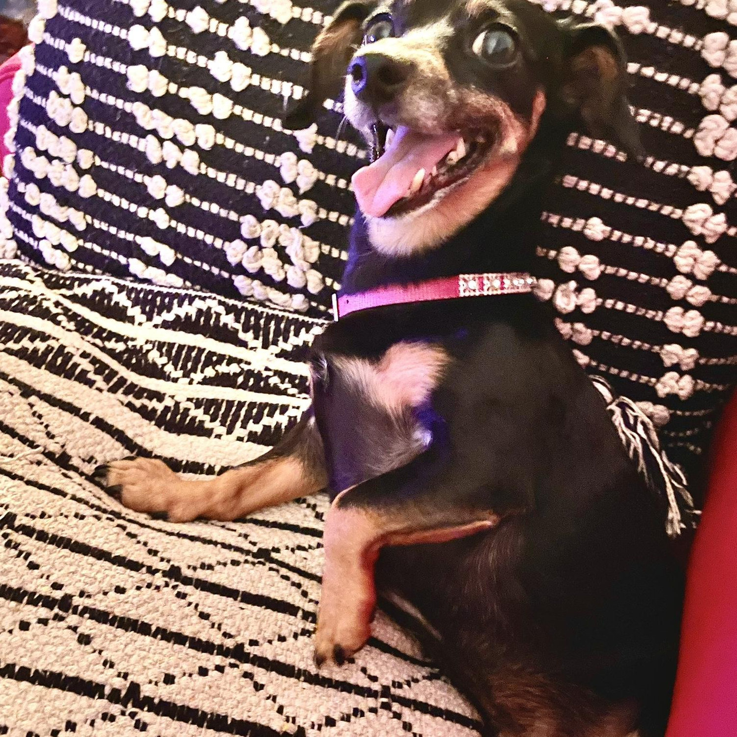 Penny
