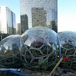 The Amazon Spheres