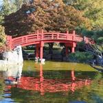 Japanese Friendship Garden
