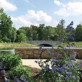 Buhl Park