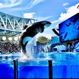 SeaWorld Orlando