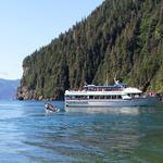 Kenai Fjords Tours