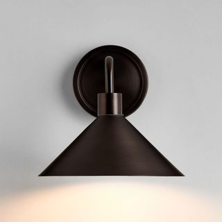Andre Indoor/Outdoor Wall Sconce Light