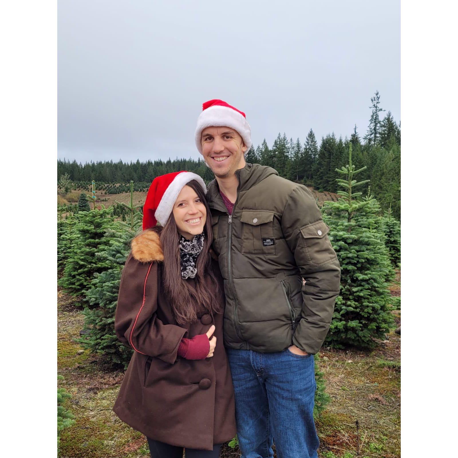 Getting our Christmas tree.