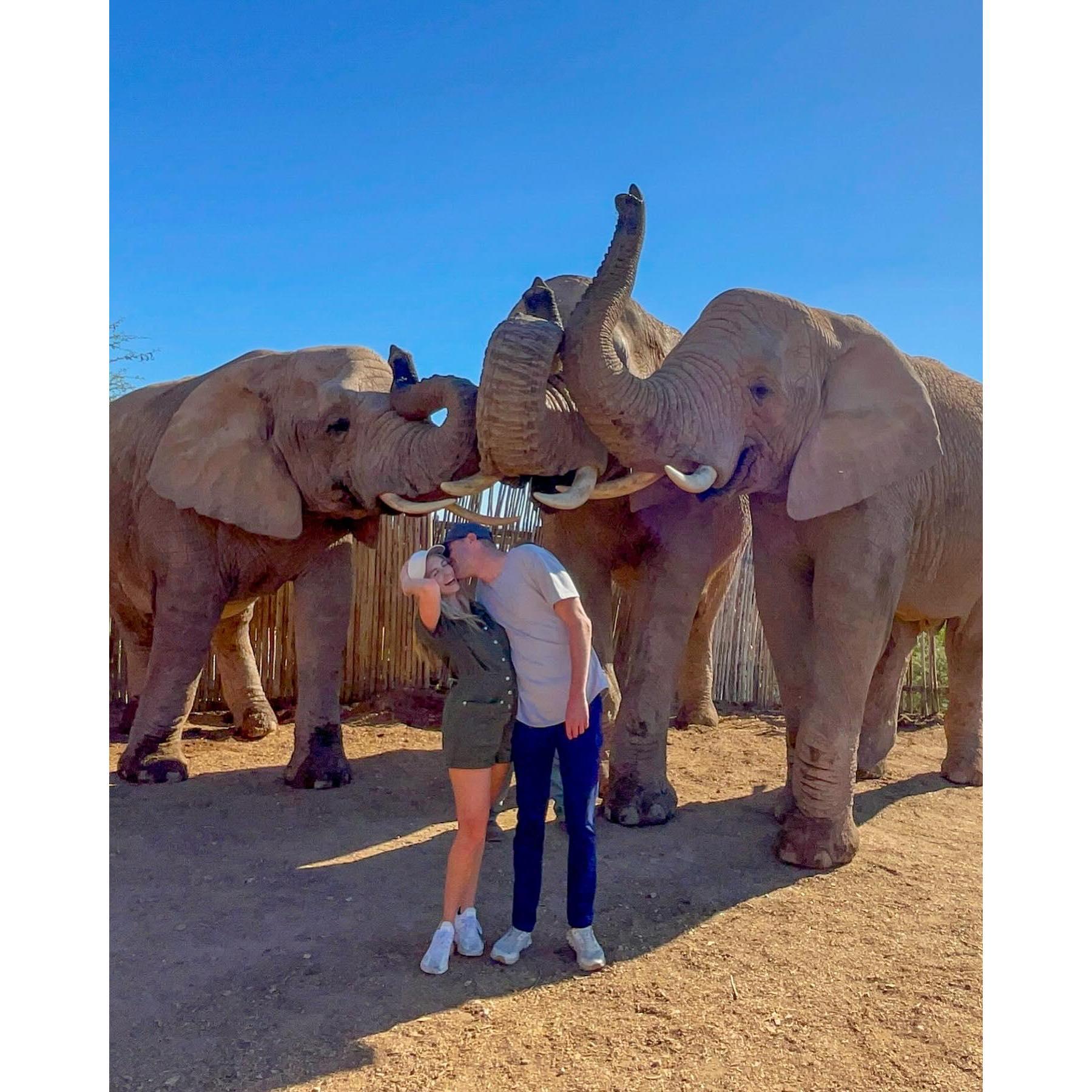 Trip to South Africa in May 2024