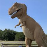 Dinosaur Valley State Park
