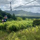 Shaka Zipline Kauai