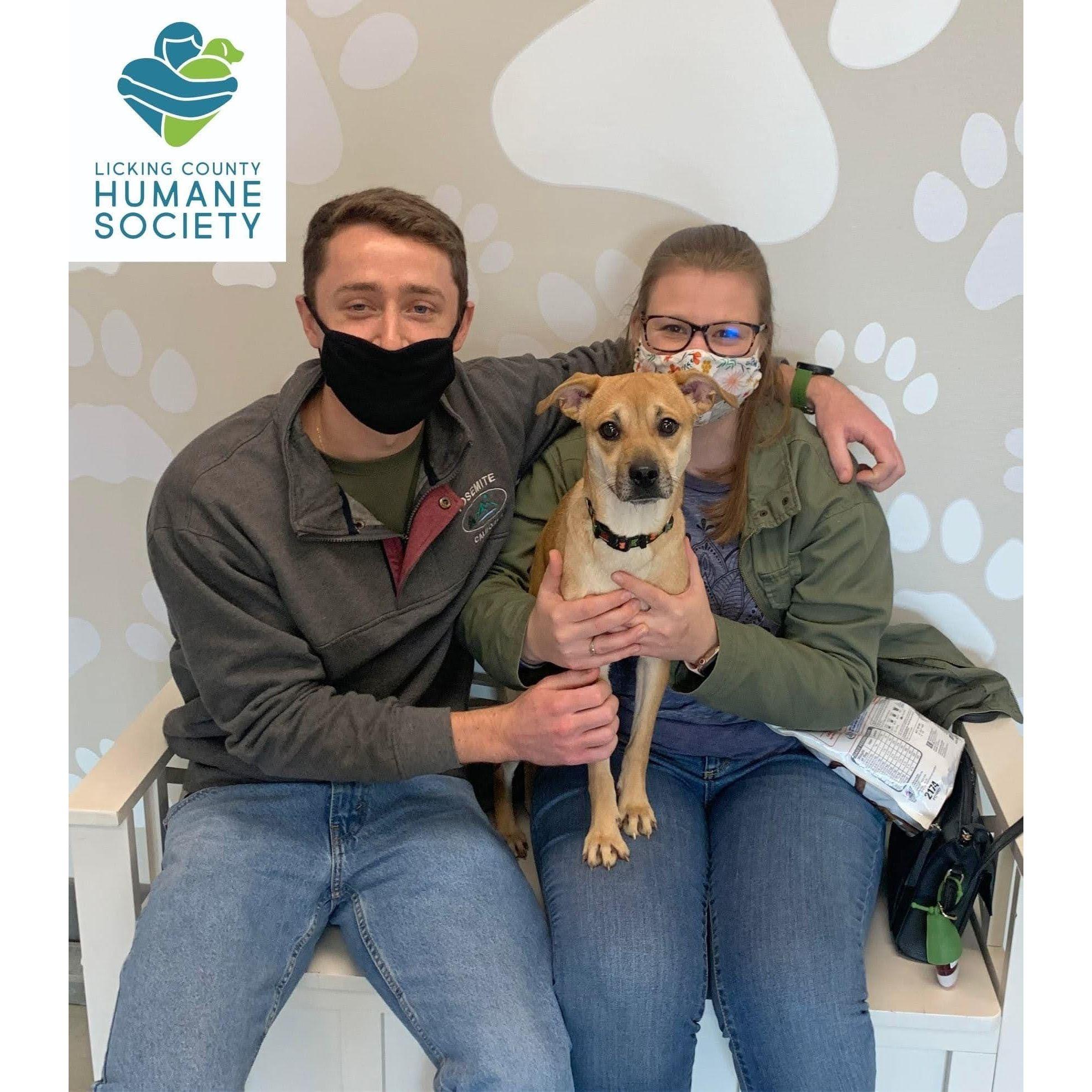 The day we adopted Luna! '20