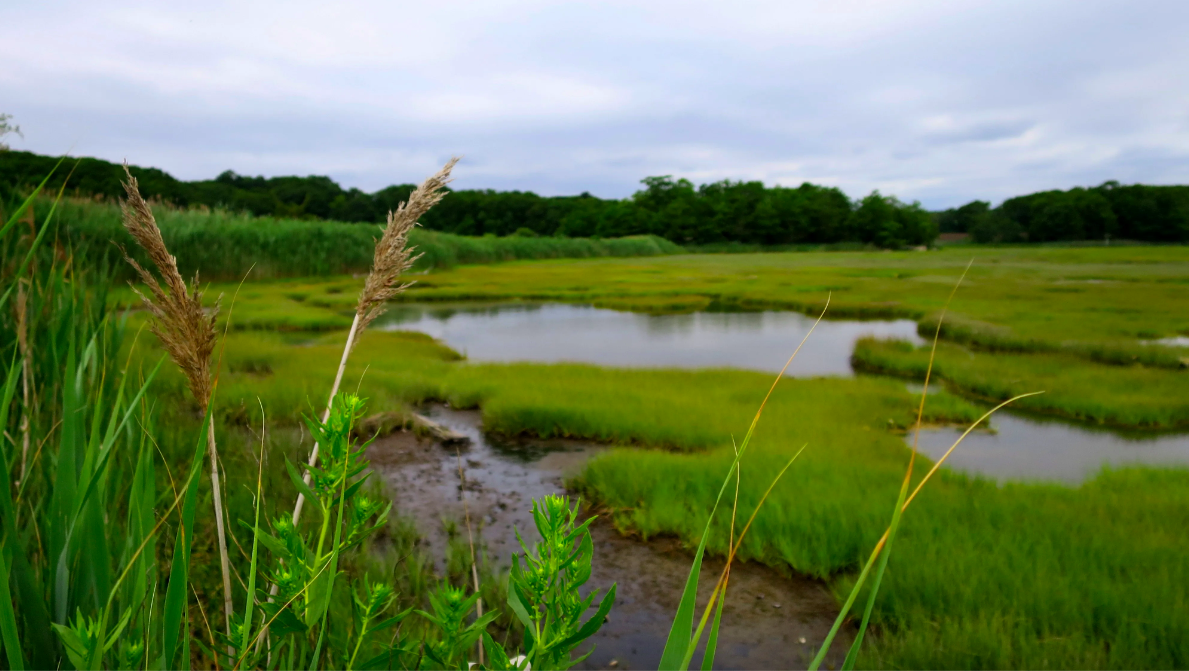 The Wedding Website of Sarah Caitlin Scott and James Andrew Ciaburri