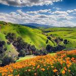 Chino Hills State Park