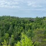 Natural Bridge State Resort Park