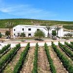 Akash Winery & Vineyard