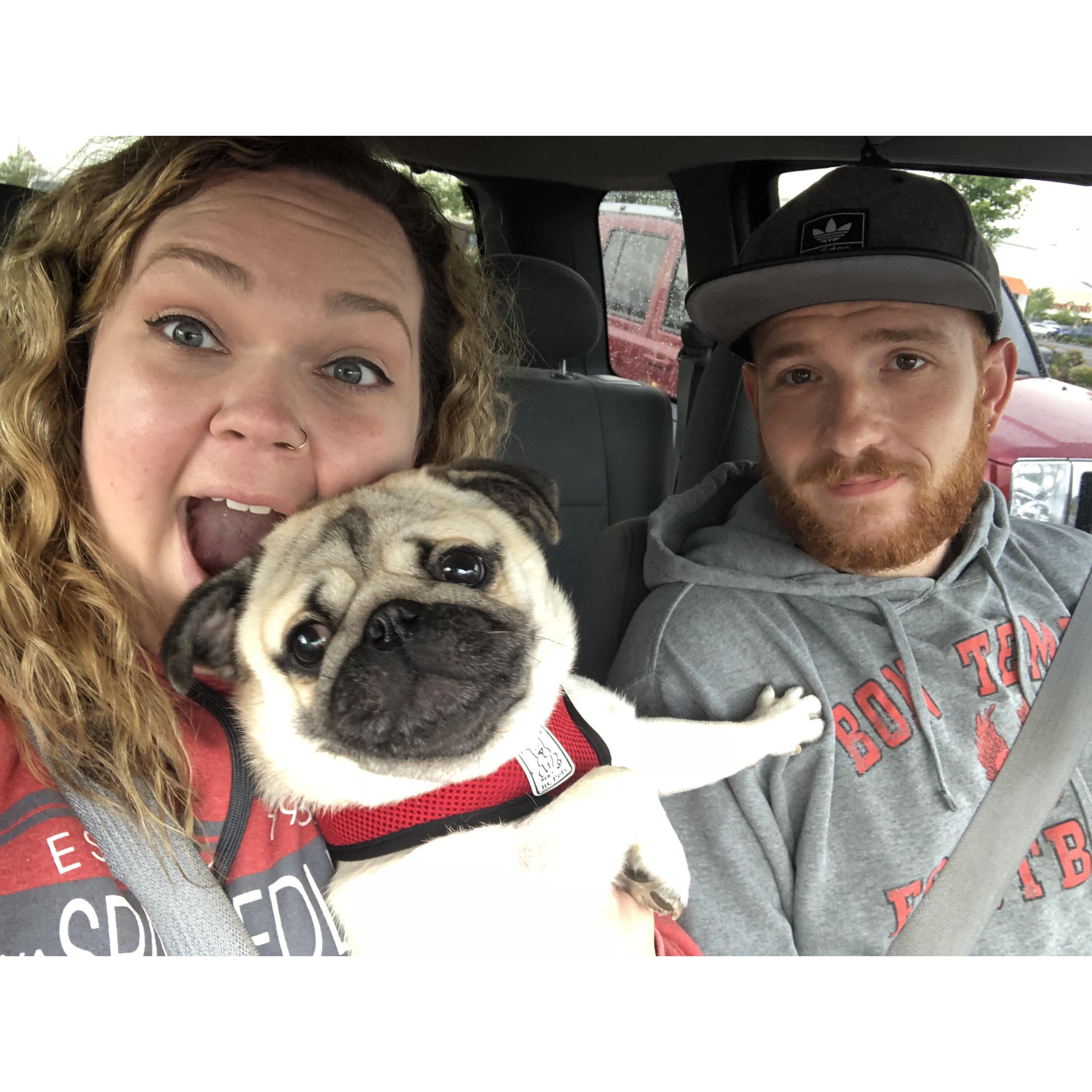 Trip to the dog park with Buster