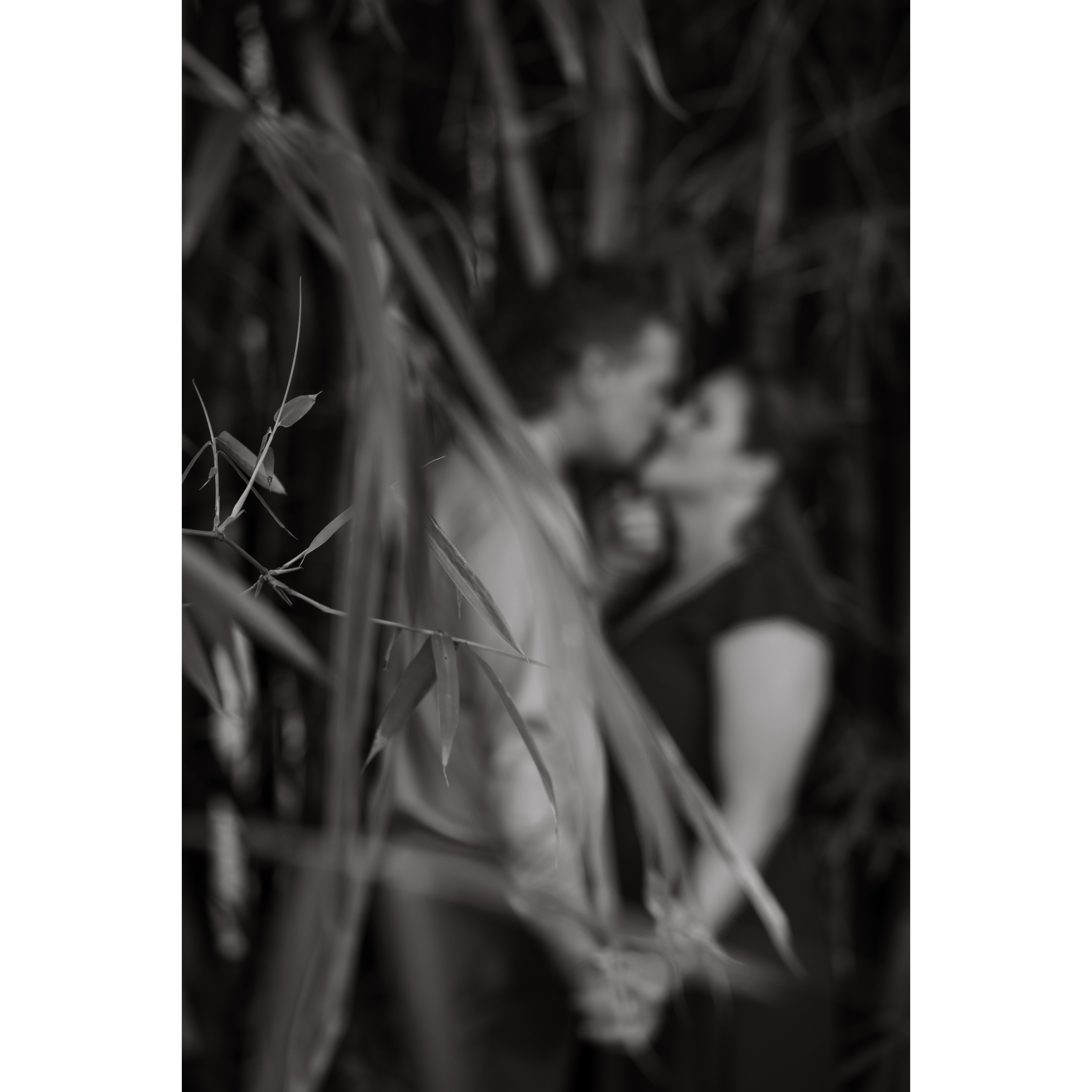 Engagement Photo Session 📸: Lauren Schoepfer Photography https://www.laurenschoepfer.photo