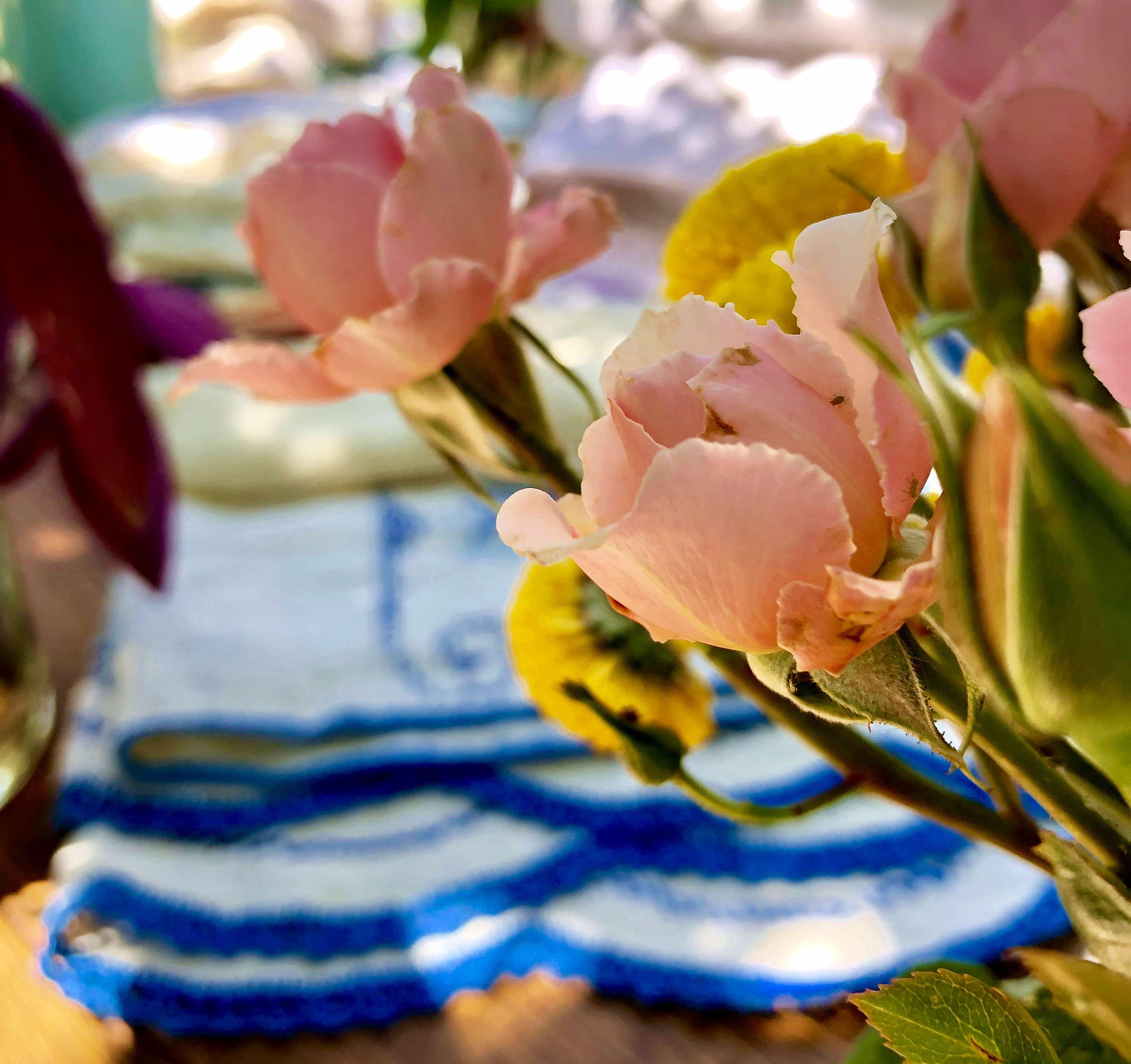 The Wedding Website of Diane Sisseck and Scott Gearheart 