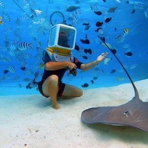 Aqua Safari Introductory Helmet Dive (Underwater Walk)