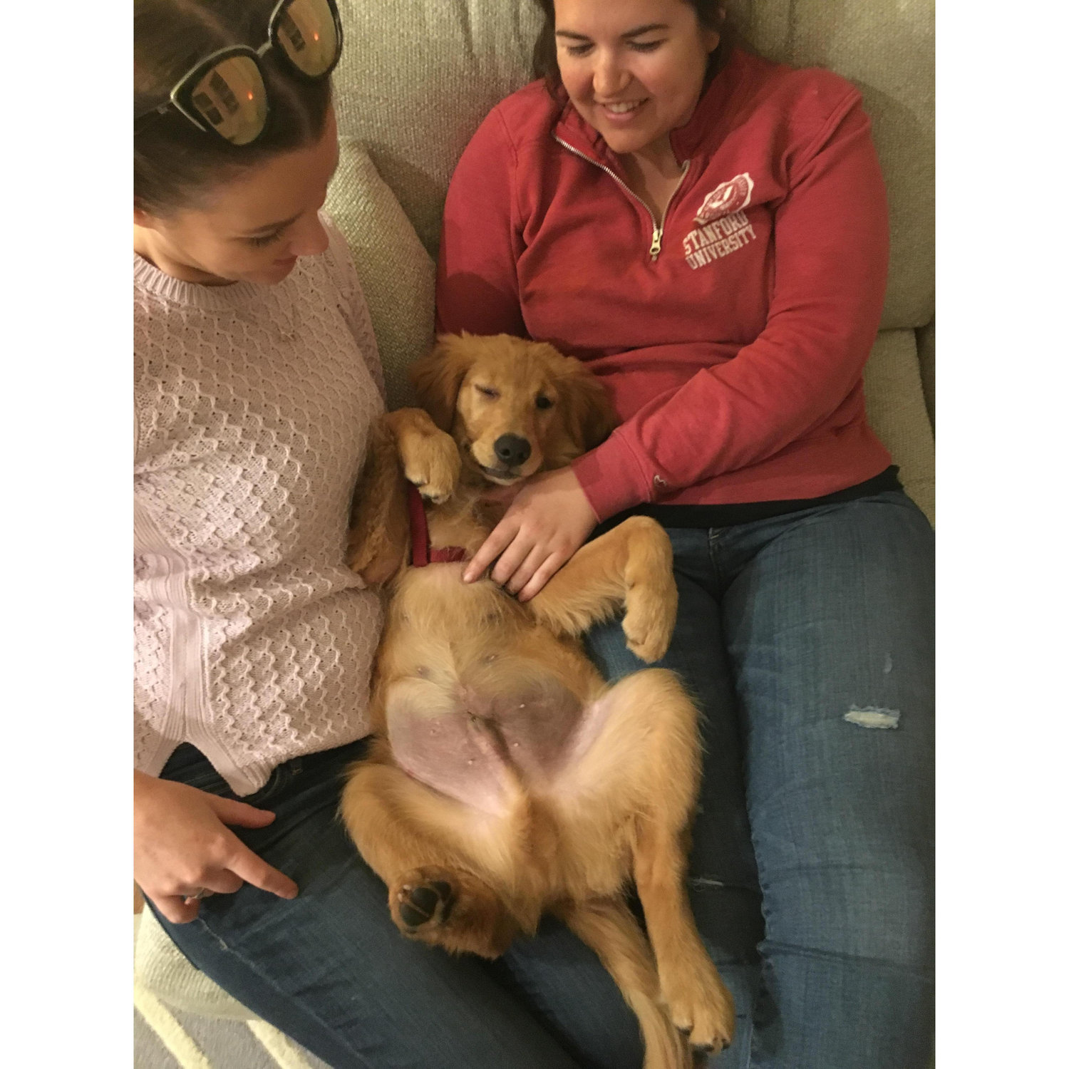 and then we became dogmoms!