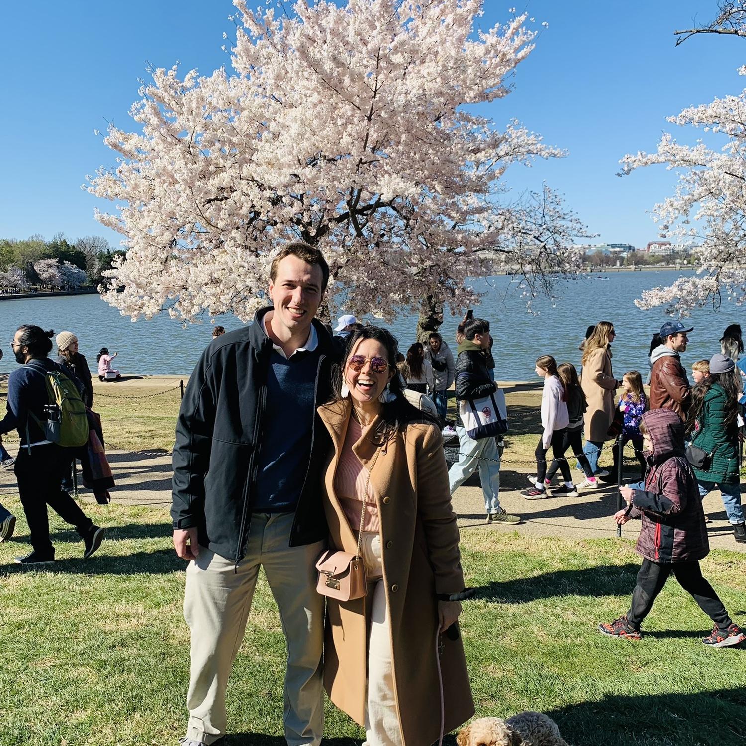 Enjoying the cherry blossoms