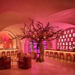 Arbol at Las Ventanas Hotel