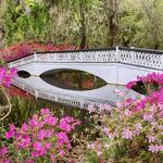 Magnolia Plantation and Gardens