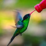 Rocklands Bird Sanctuary