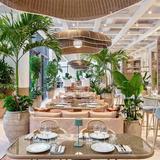 Amal Miami