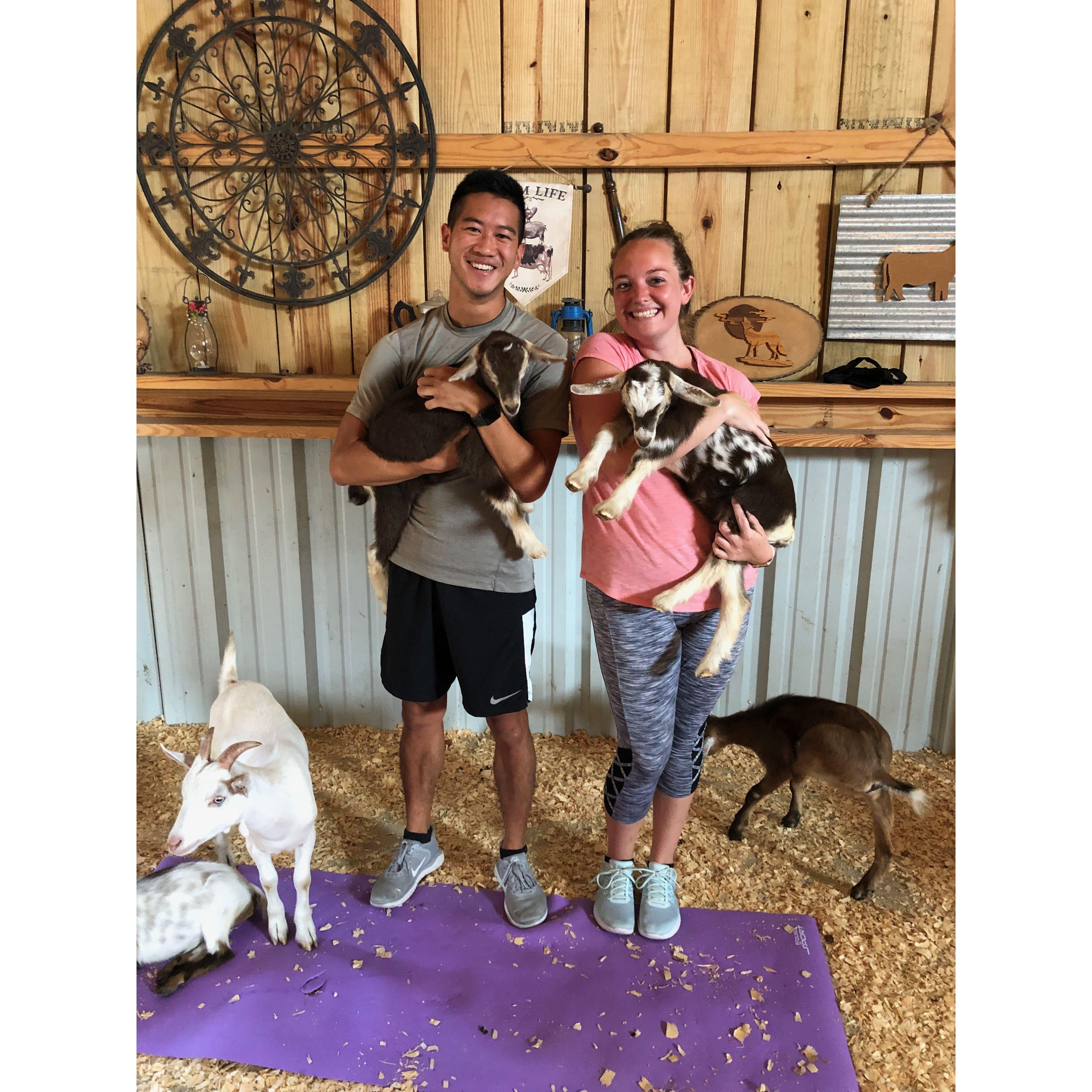 Goat Yoga - 2018