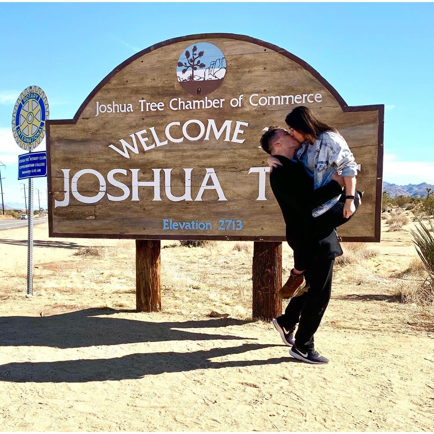 Joshua Tree January 2020