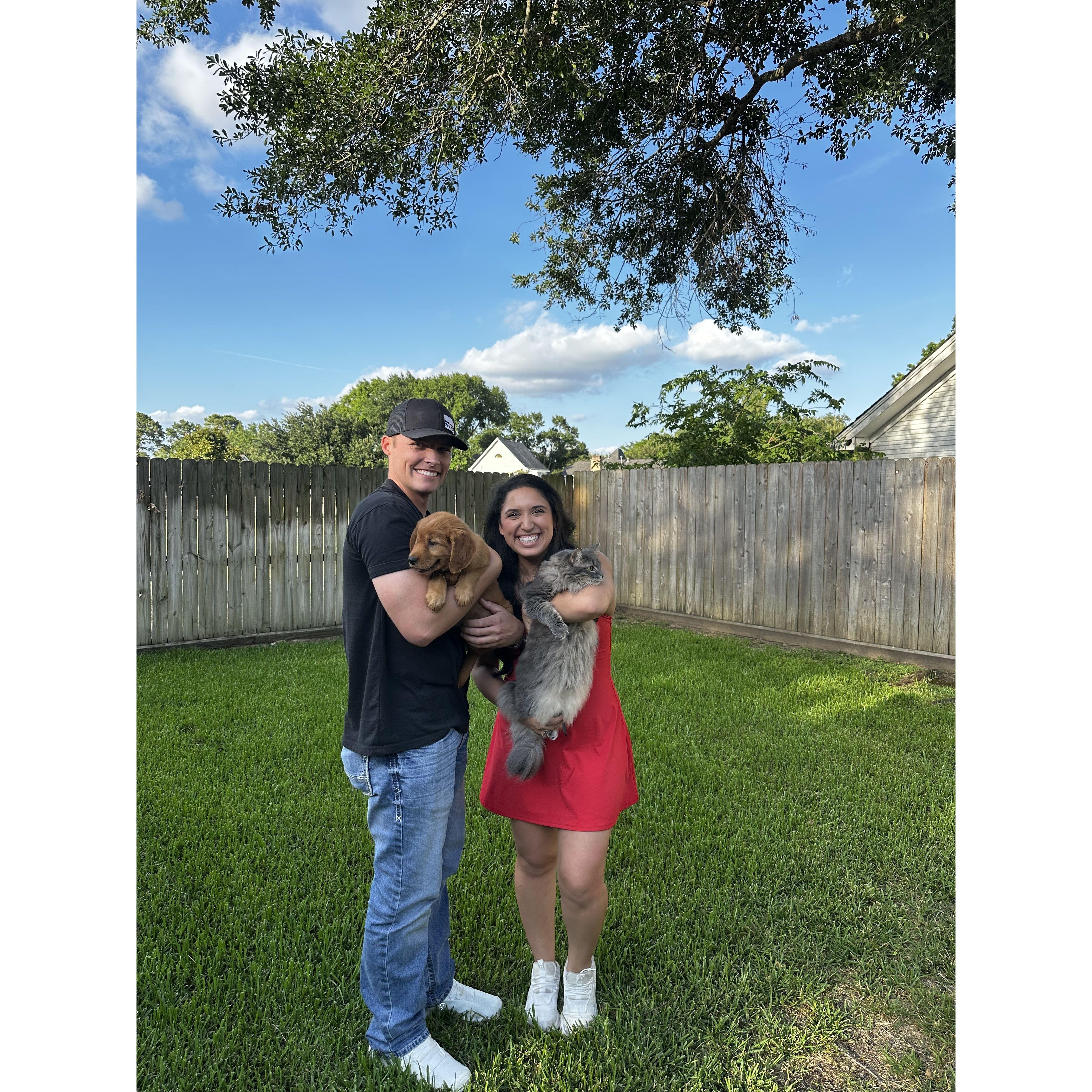 Our family of 4!