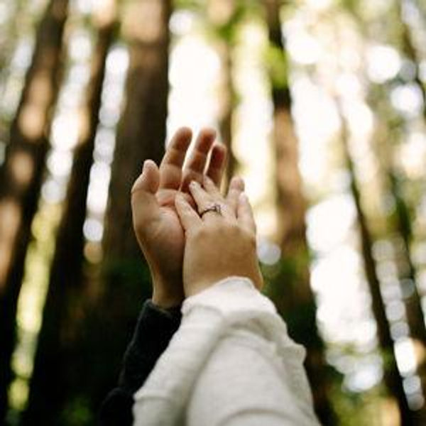Our Newlywed Fund