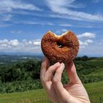 Carter Mountain Orchard and Country Store