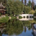 The Huntington Library, Art Museum, and Botanical Gardens