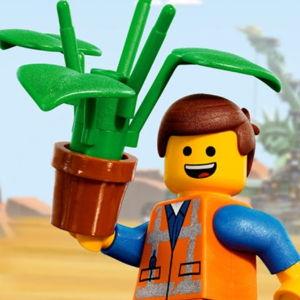 Post-wedding LEGO set