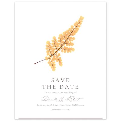 Orange Wedding Digital Save the Date - Dane Portrait