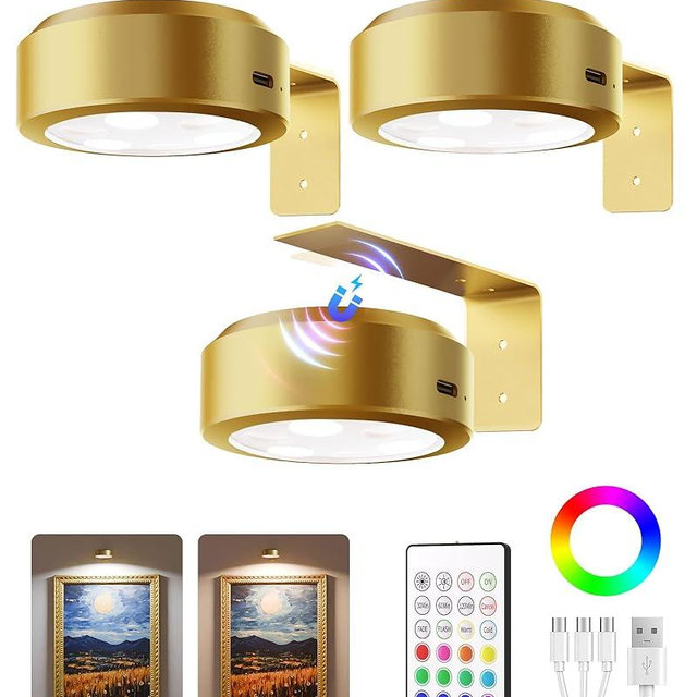 EZVALO Picture Lights for Wall,2000mAh Rechargeable Battery Magnetic Poster Lights with 2 Color Temps&12 RGB,Remote Dimmable Timer Painting Light,Wall Decor Light for Art Display,Picture,Frame(3 Pack)