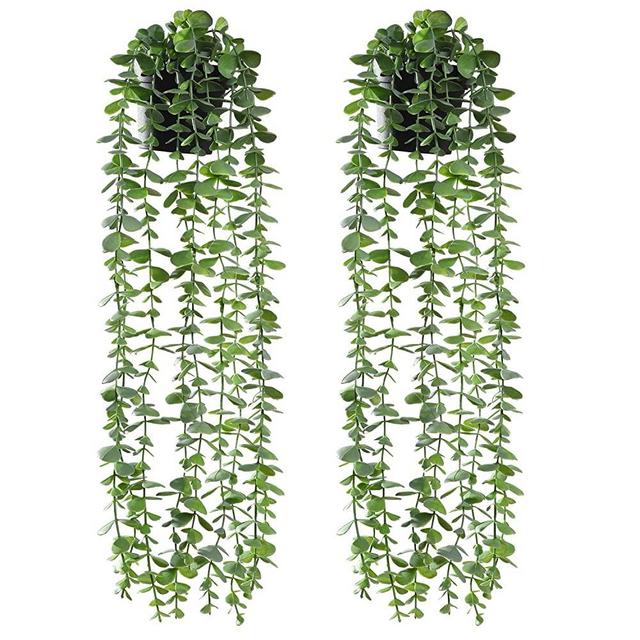 RED SECRET R Artificial Hanging Eucalyptus Plants Potted 2 Pack Fake Eucalyptus Greenery Vines in Black Pot for Home Indoor Outdoor Decor