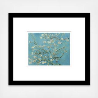 Vincent van Gogh Almond Blossom, 1890-1892