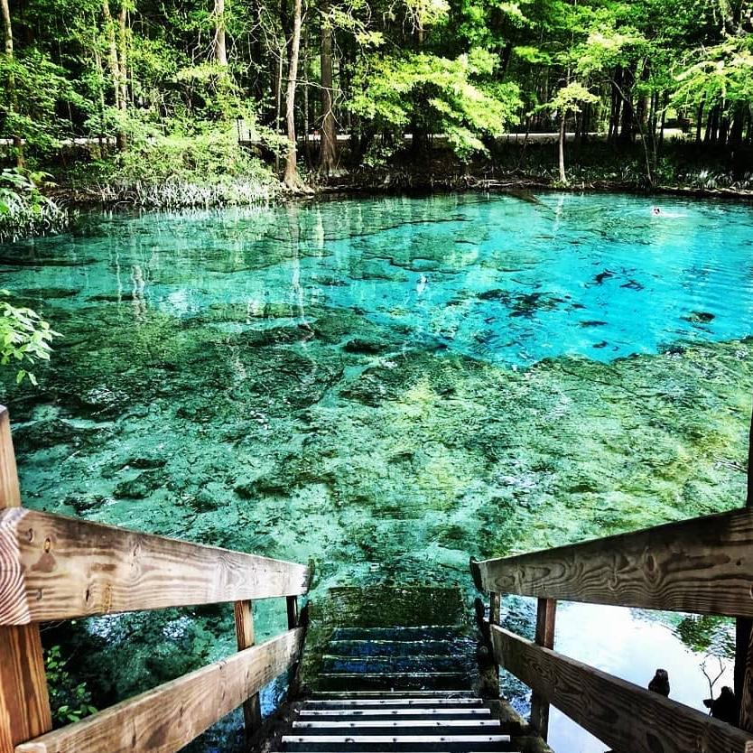 Ginnie Springs โจ
Located about 18 mins away from the Airbnb!