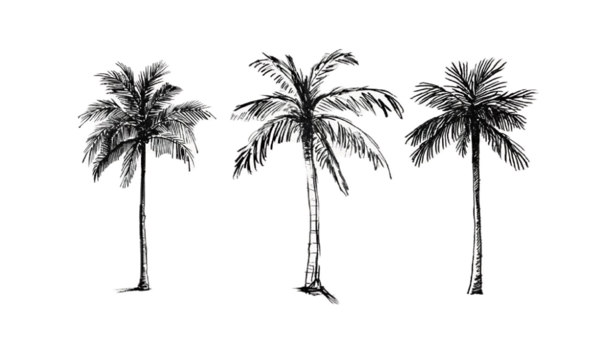 Footer image
