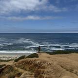 La Jolla Shores