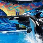 SeaWorld San Antonio