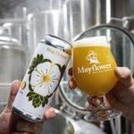 Mayflower Brewing Company