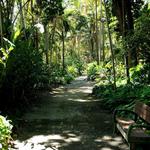 Wahiawa Botanical Garden