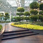 Devonian Gardens